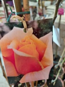 659048055_1443634727563838_8273106056954686729_n